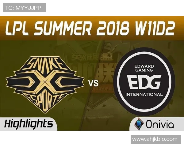 季后赛评分出炉：是高光还是低迷？